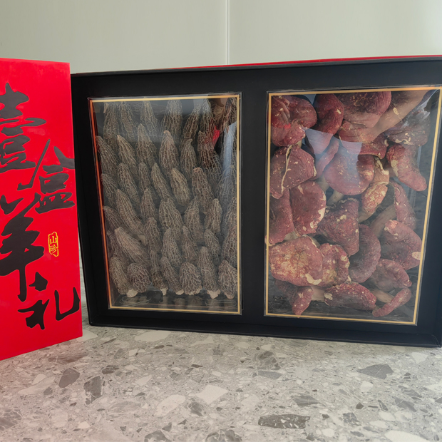 Morel mushrooms+red mushrooms