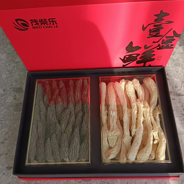 Morchella+bamboo fungus